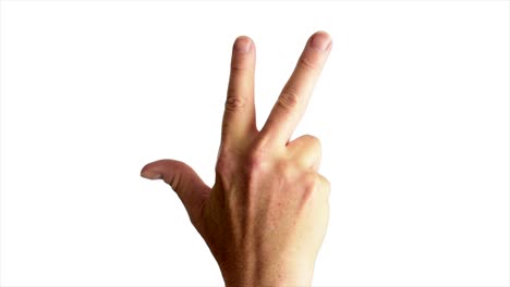 close up shot of a male hand throwing a classic gang sign, against a plain white background