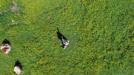 persona caminando por un campo de flores