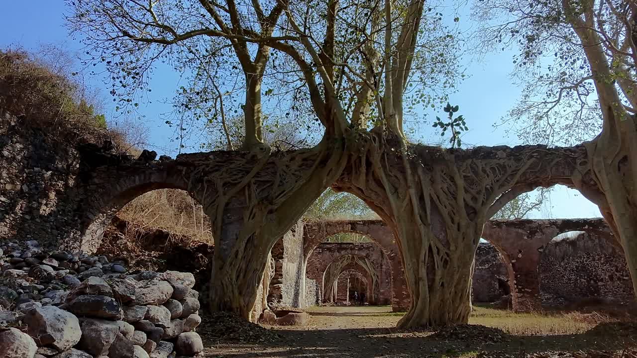 Ex Hacienda de San Jacinto Ixtoluca: aqueducts with trees and blue sky during the day in La Mezquitera, Morelos, Mexico, wide shot