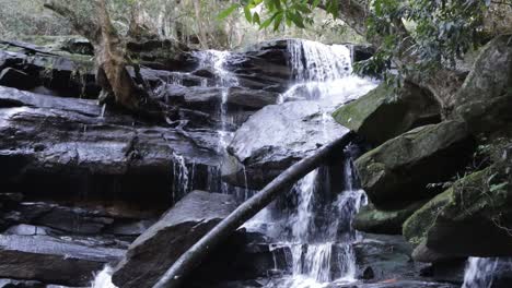 somersby falls near sydney australia with mossy rocks and vegetation in brisbane water national park, locked shot