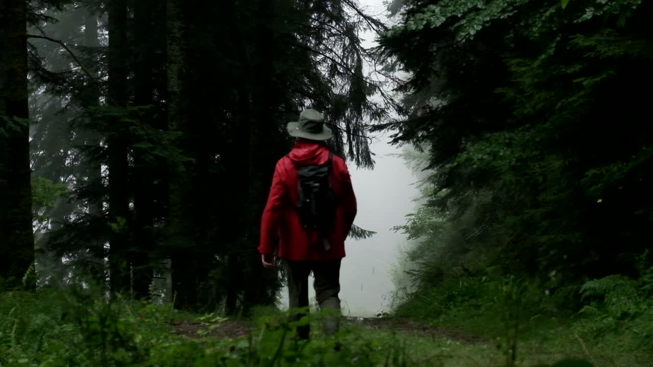 En ensom vandrer i en rød jakke går blandt høje træer i en tæt, rolig skov mod en åbning i nåletræerne.