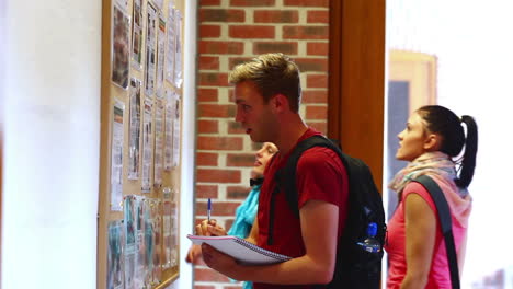 estudiante revisando el tablón de anuncios cuidadosamente