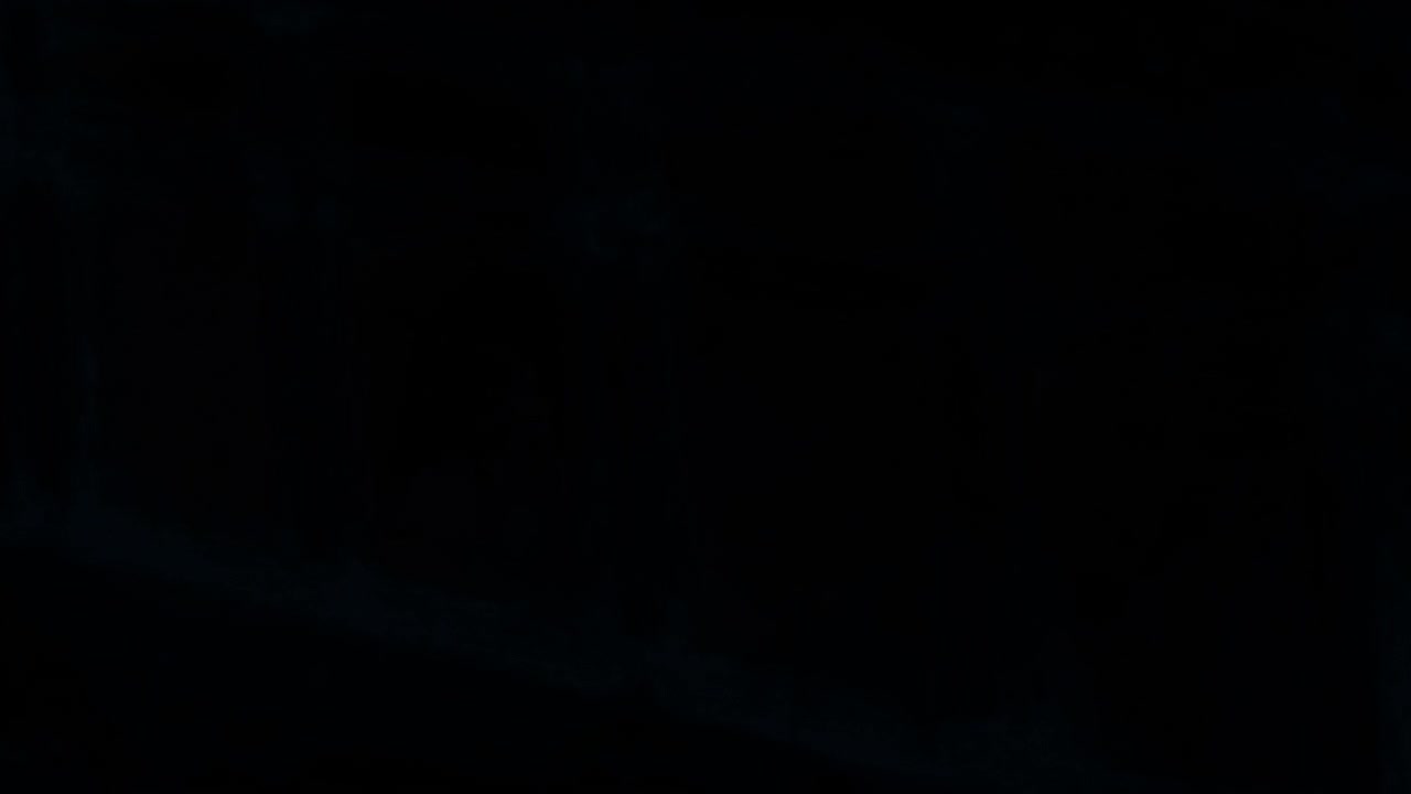 Shadow of window animated overlay, transparent 4K video, alpha channel, ProRes 4444