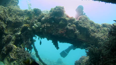 Buzo-Observando-La-Vida-Marina-Desde-Un-Naufragio-Submarino