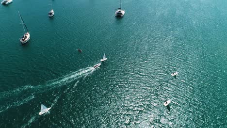 Group-of-sunfish-sailboats-practice-sailing-in-open-Caribbean-waters,-aerial-drone-tracking