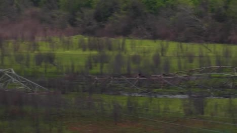 power lines are down following a large weather event 3