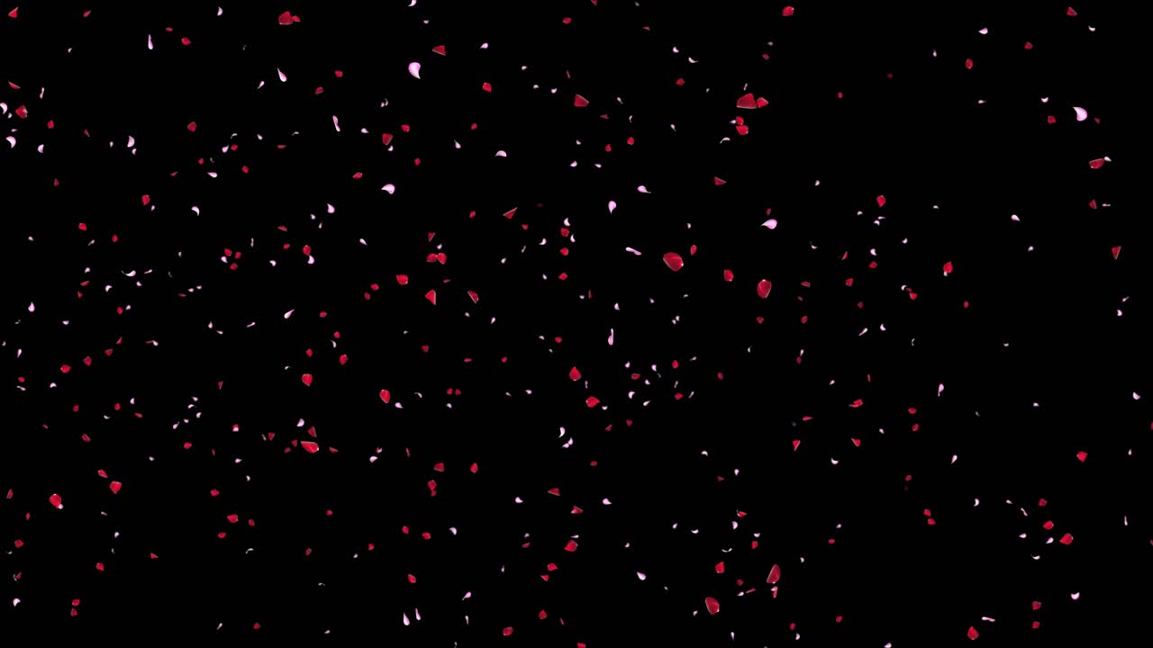 4k rose petals falling realistic animation falling rose petals you can replace background engagement