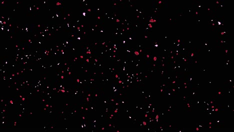 4k rose petals falling realistic animation falling rose petals you can replace background engagement