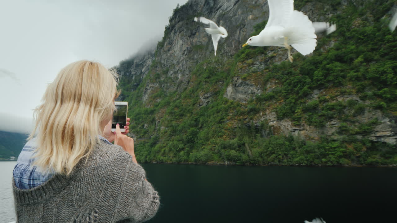 турист фотографирует красивые фьорды и чаек, которые летают рядом круиз по фьордам норвегии