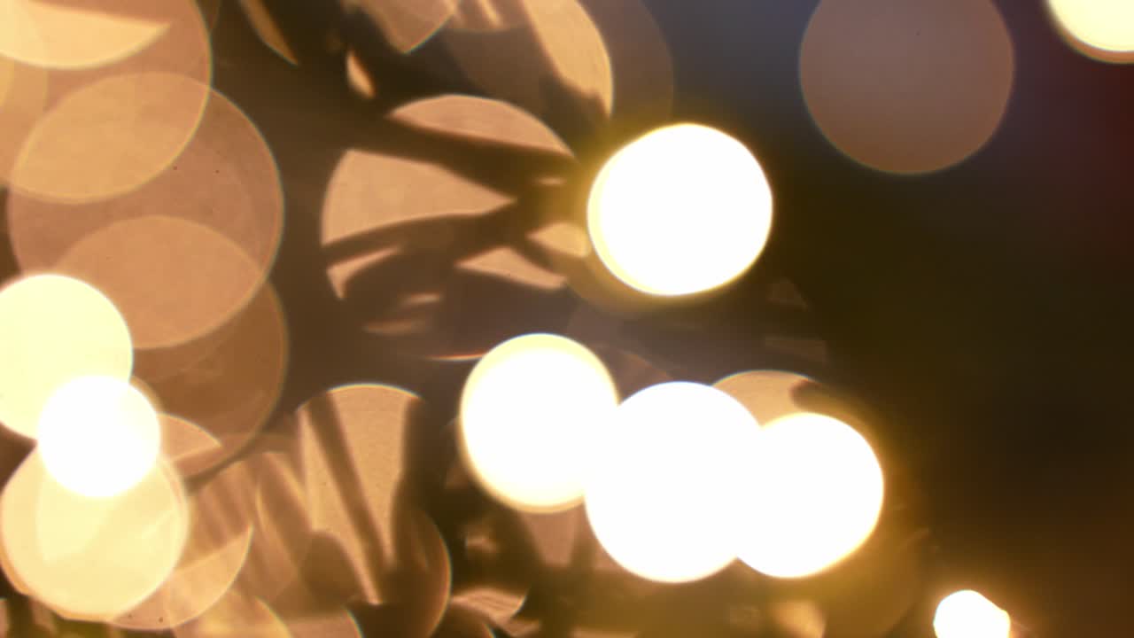 Caldo bokeh dorato di lucine con silhouette di fogliame sfocato, creando uno sfondo festivo e accogliente per promozioni e titoli delle feste
