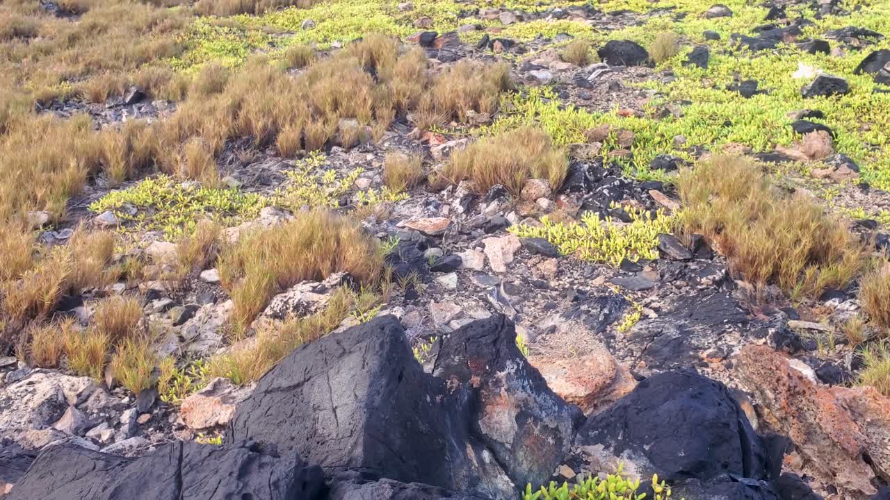 detalle de piedras negras en la colina de gran roque, el fondo del pueblo de pescadores