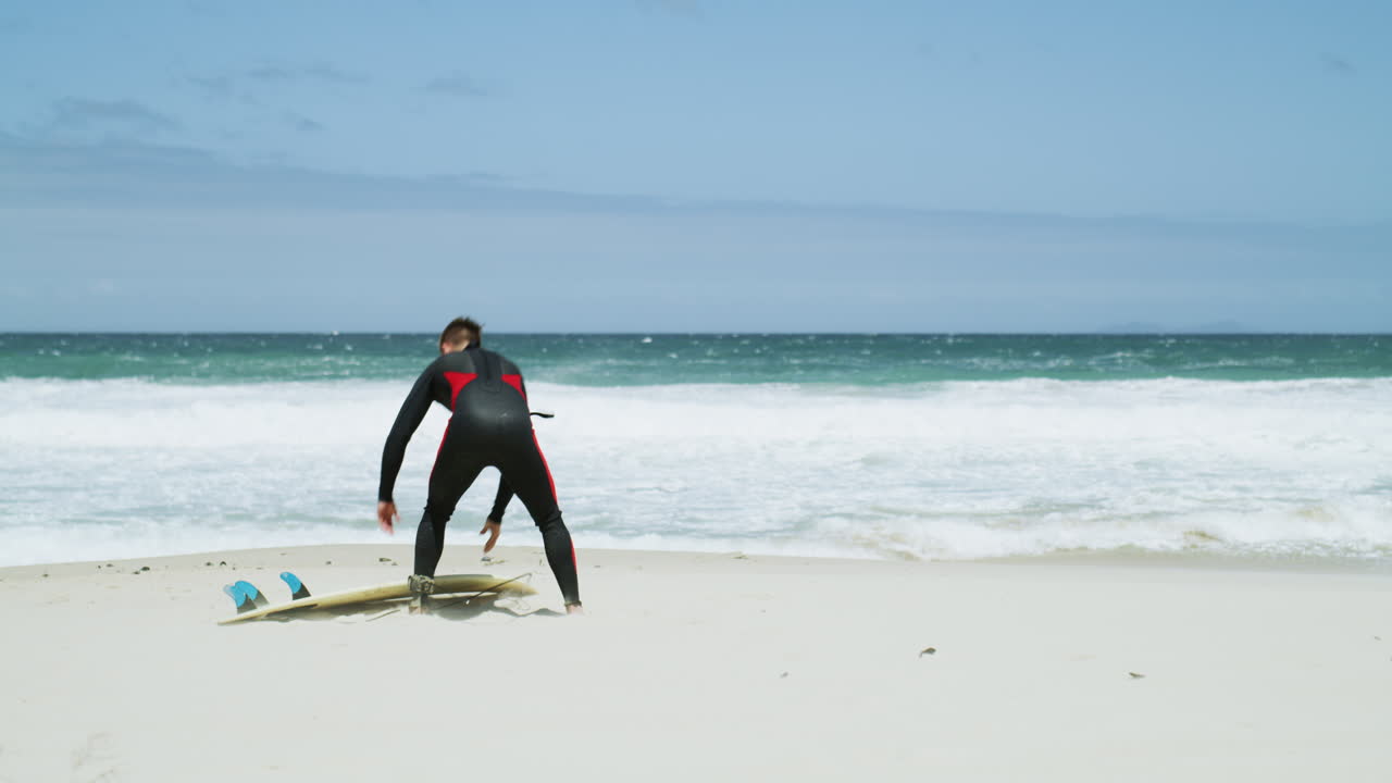 웨이브 라이더가 간다