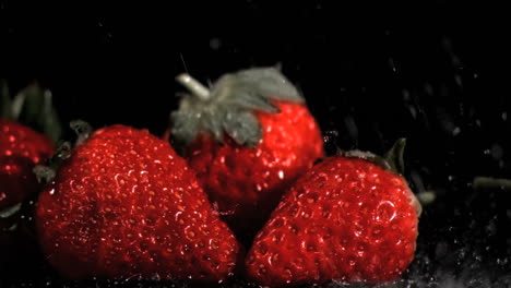 red strawberries in super slow motion being wet