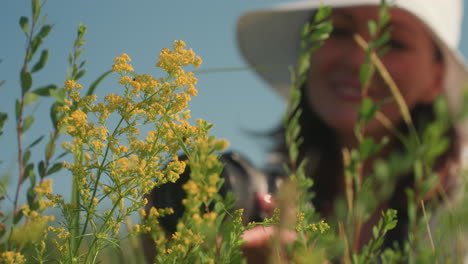 yellow wildflower stands tall in sharp focus while blurred view of woman in white sunhat taking photo from background highlights contrast between subject and observer in sunny outdoor field setting