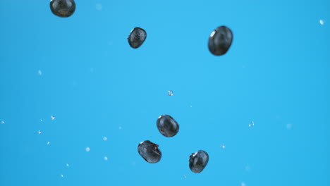 six blueberries with water droplets launched in air, flying