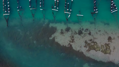 Granja-De-Ostras,-Laguna-De-Carlsbad,-Vista-De-Drones