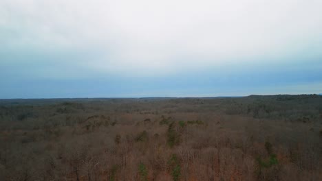 Aerial-Shot-of-Forest-and-Trees-During-Fall-in-Midwest-America