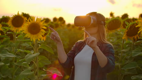 Die-Studentin-Mit-Langen-Haaren,-Kariertem-Hemd-Und-Jeans-Arbeitet-Mit-Einer-VR-Brille.-Sie-Ist-In-Den-Arbeitsprozess-Vertieft.-Es-Ist-Ein-Wunderschöner-Sommerabend-Im-Sonnenblumenfeld-Bei-Sonnenuntergang.