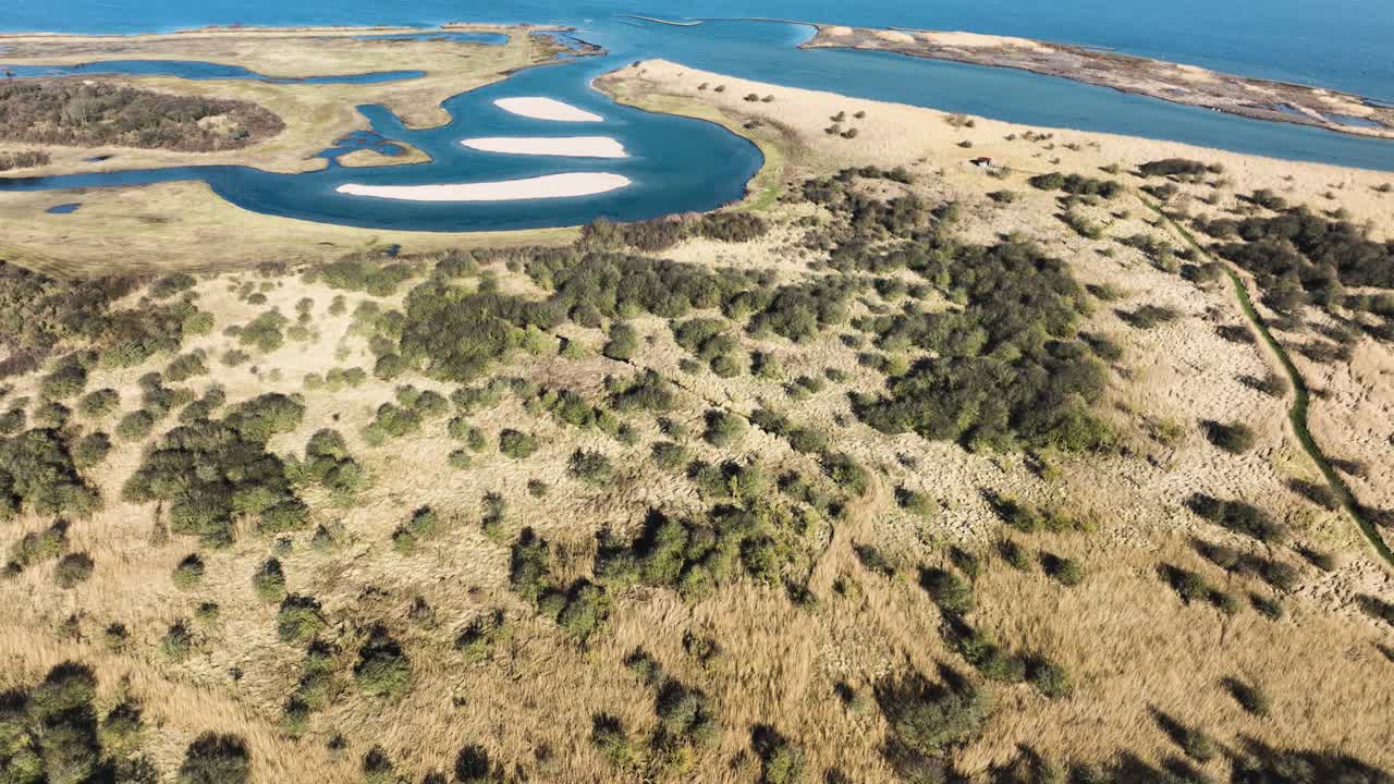 hermosa vista aérea a vista de pájaro del pantano de cañas doradas en la costa de oostvoorne en los países bajos