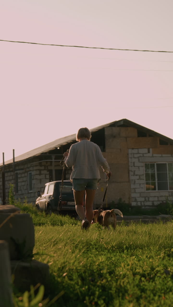 밝은 빛 아래 잔디에 있는 개와 함께 는 동안 개 주인이 줄을 들고 있으며, 배경에는 주거 건물과 주차된 자동차가 있습니다.