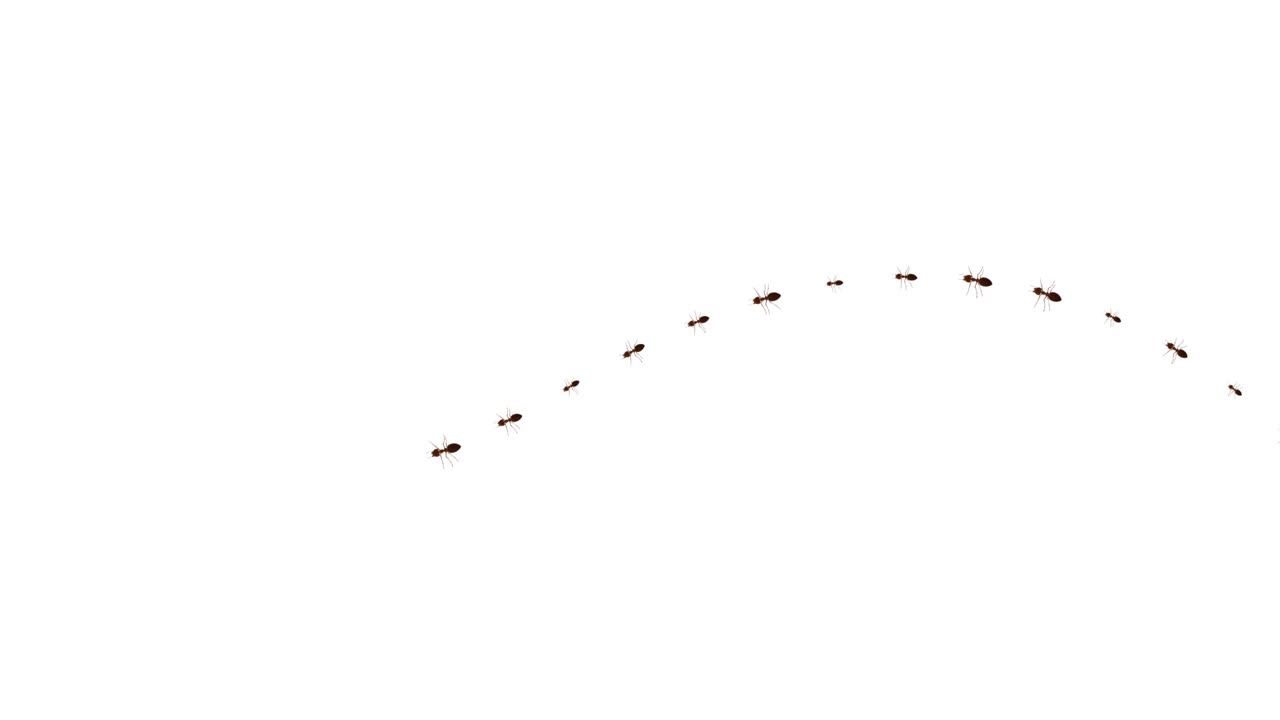 무작위로 걸어다니는 개미가 녹색 화면을 가로질러 기어다니며 색 배경 애니메이션을 보여줍니다.