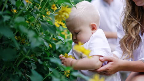 cute serious blond baby boy with plump cheeks stands at the yellow flower bush. unrecognized mom supports her son.