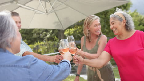 grupo diverso de mujeres que brindan con vino al aire libre