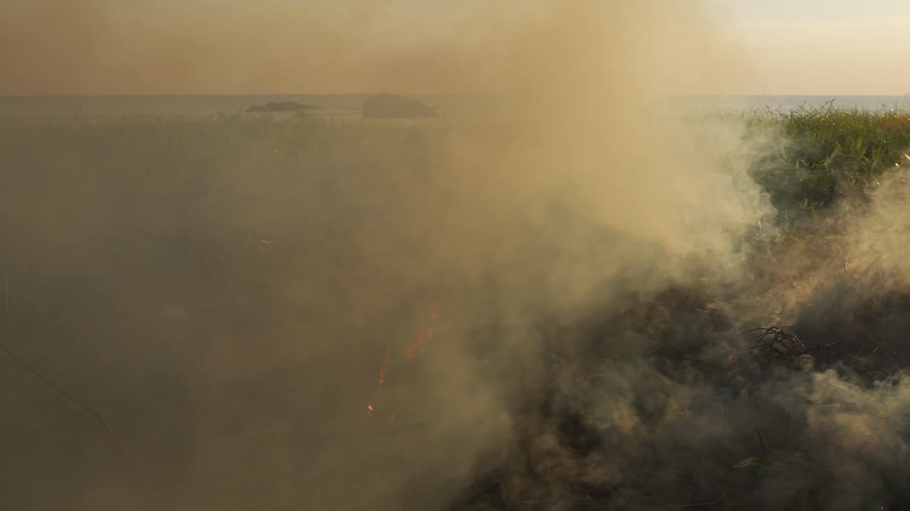 quemando basura cerca de la playa después de un picnic
