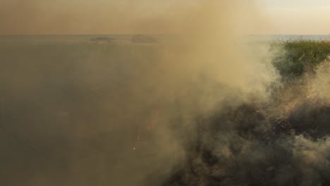 burning trash near beach after picnic