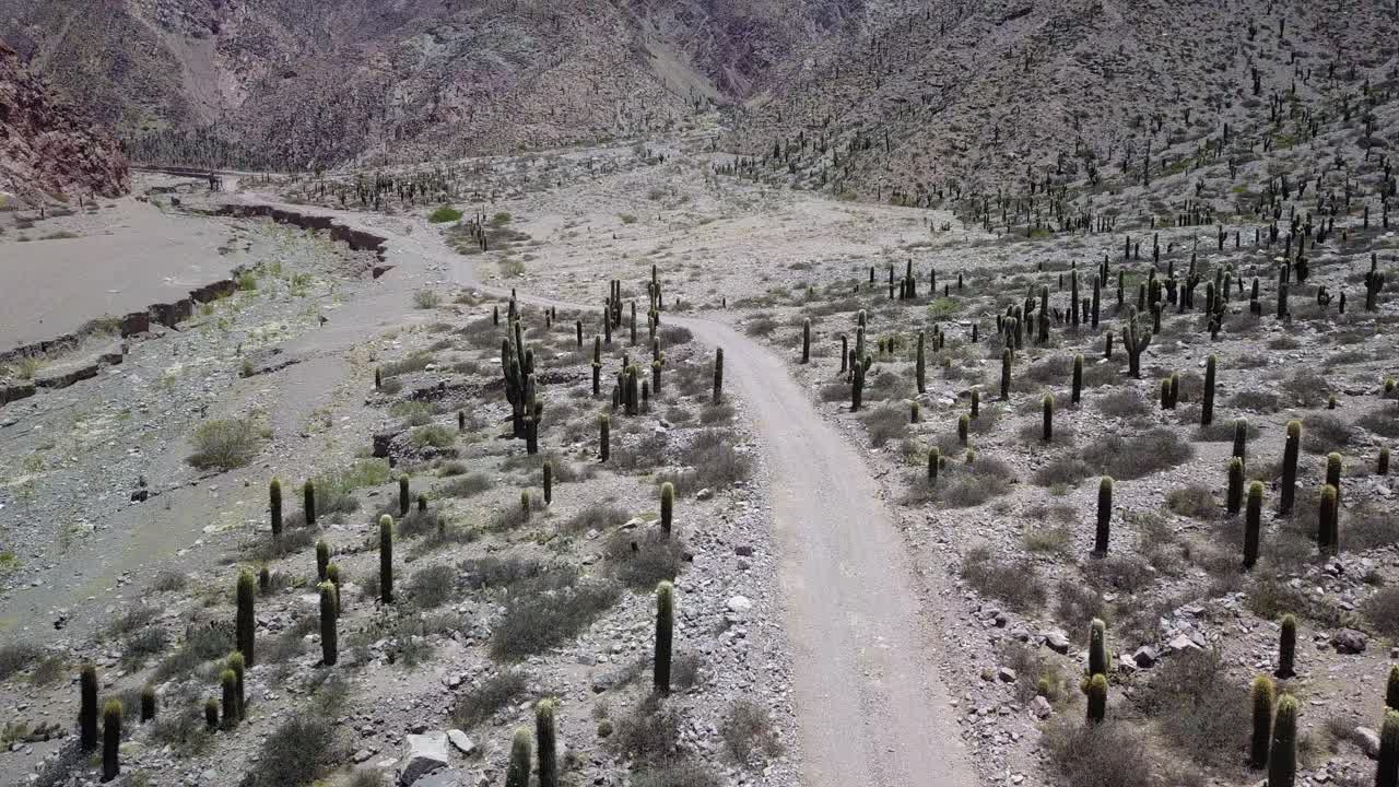 paisaje desértico del noroeste de argentina