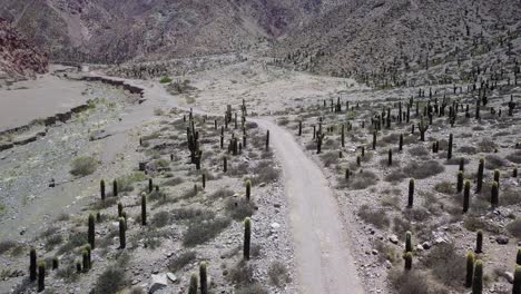 desert landscape of northwestern argentina