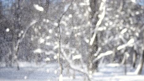 Winterlandschaft-Bei-Schneefall.-Abstrakter-Hintergrund-Für-Winterweihnachten-In-Superzeitlupe.