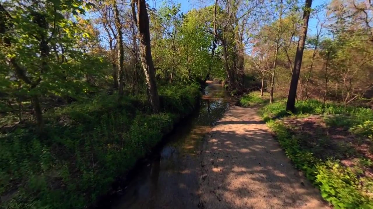 360-graders luftvideo i en park på Long Island badet i gyldent sollys, der viser grønne træer, åbent grønt område og naturskønne forstadslandskaber. Dronen sænker sig og bevæger sig ind over en lavvandet bæk