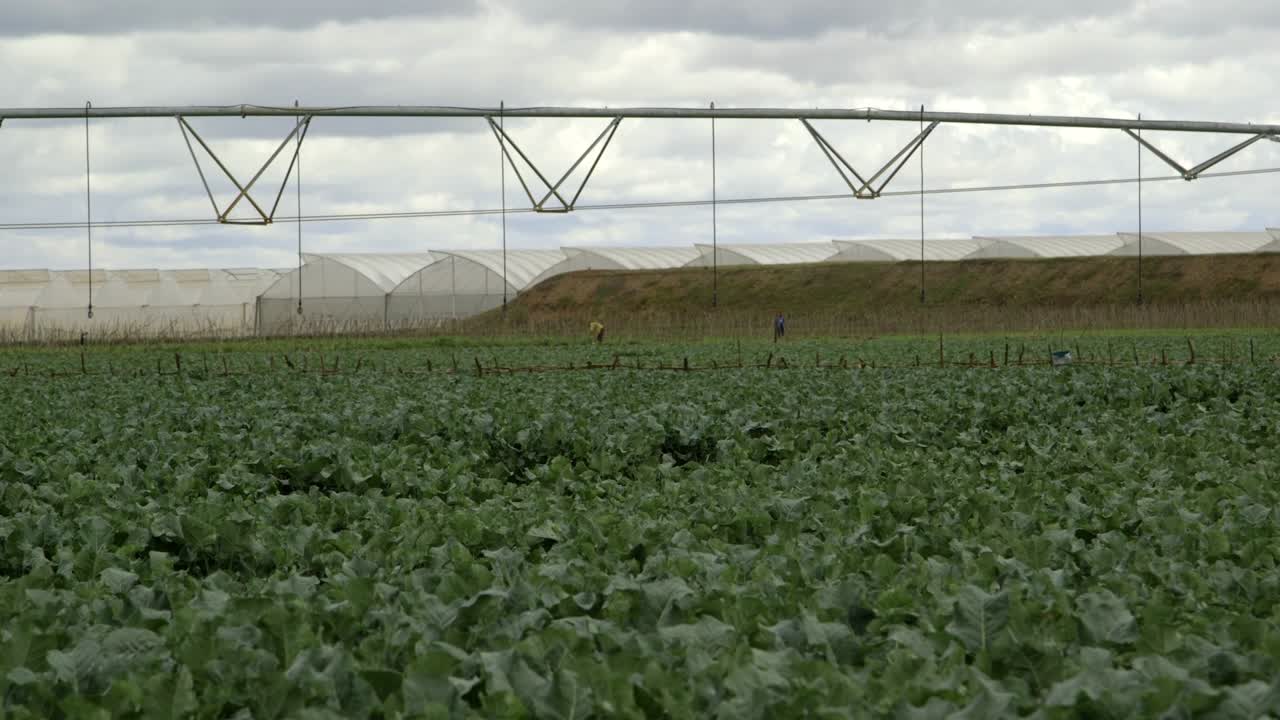 sistema de riego y invernaderos en el fondo en kenya