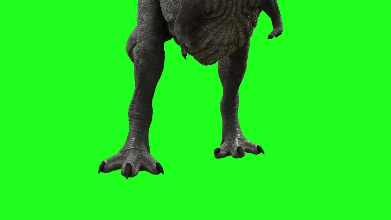 공 트렉스 루프가 녹색 채널을 고 있다