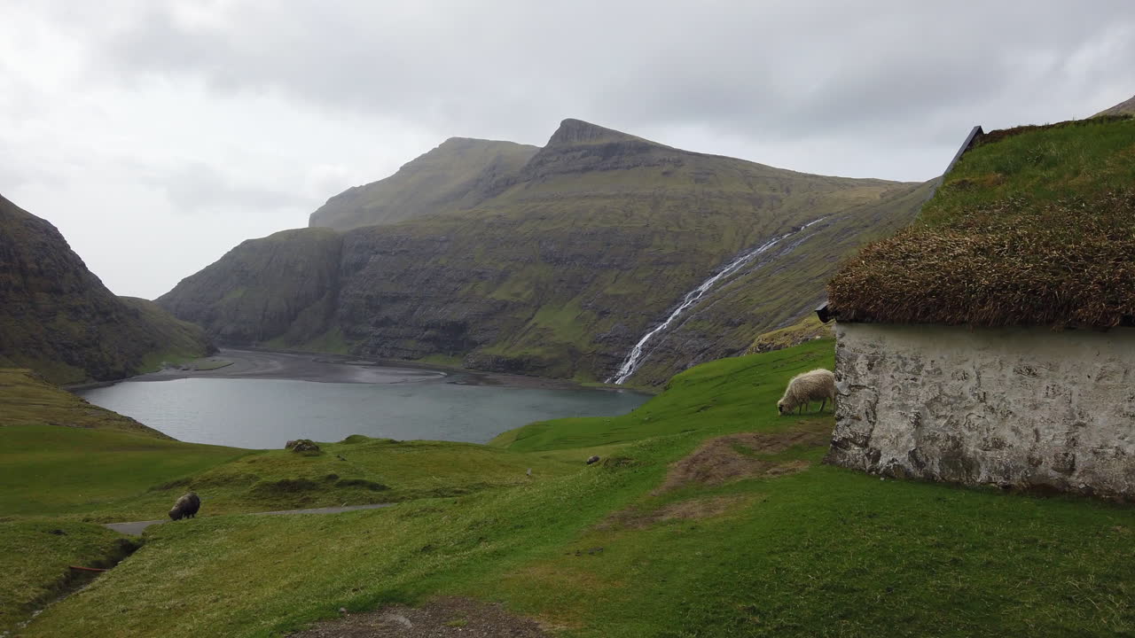 Sheep grazing in a stunning Saksun valley in the Faroe Islands
