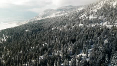 Toma-De-Revelación-Inversa-De-Bosques-Nevados-A-Lo-Largo-De-Una-Ladera-Del-Valle-De-Nicola-En-Un-Día-Nublado-En-El-Invierno-Con-Sol-Cerca-De-Merritt,-Bc-Canadá