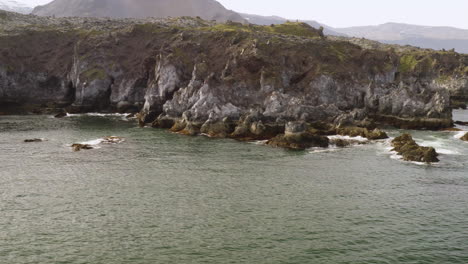 los dramáticos acantilados a lo largo de la costa de snaefellsnes en islandia son un gran hábitat para las gaviotas que anidan