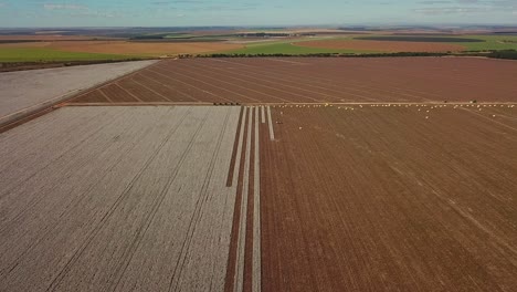 Toma-Aérea-A-Gran-Altura-De-Un-Campo-De-Algodón-Parcialmente-Cosechado-En-Las-Zonas-Rurales-De-Brasil