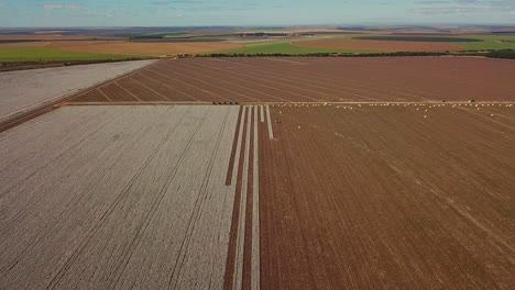toma aérea a gran altura de un campo de algodón parcialmente cosechado en las zonas rurales de brasil
