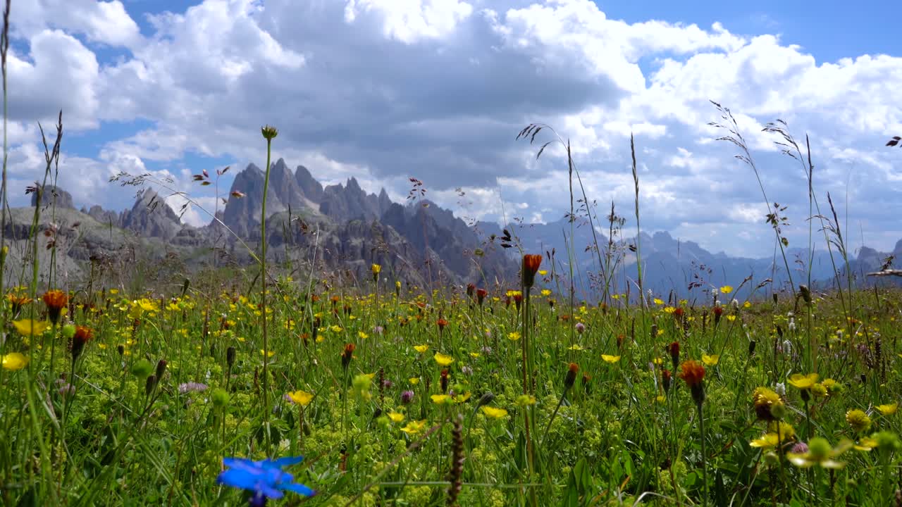parque natural nacional de tre cime en los alpes dolomitas. la hermosa naturaleza de italia.
