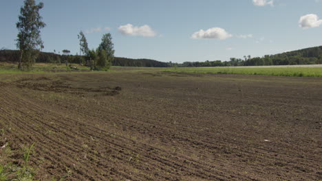 Timelapse-Pan-Durante-2-Meses-De-Cultivos-Que-Crecen-A-Partir-De-Semillas,-Día-Soleado