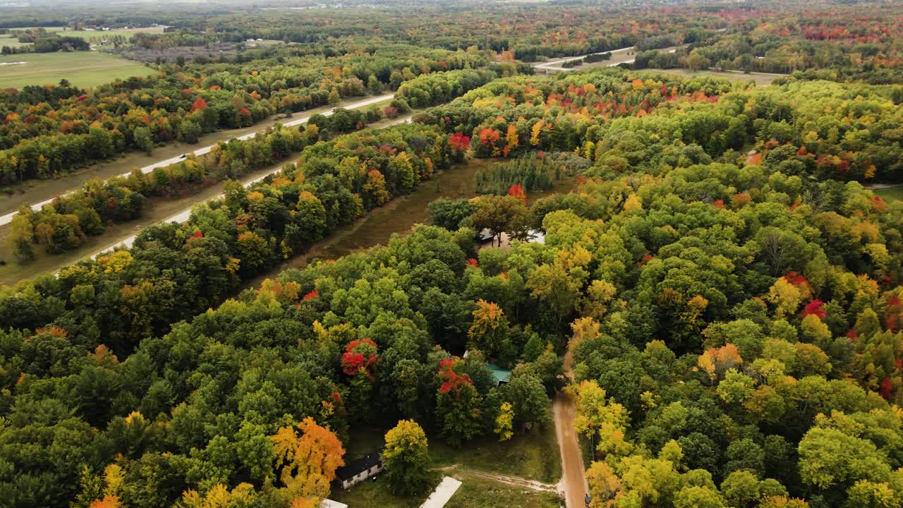 densos colores otoñales en un bosque