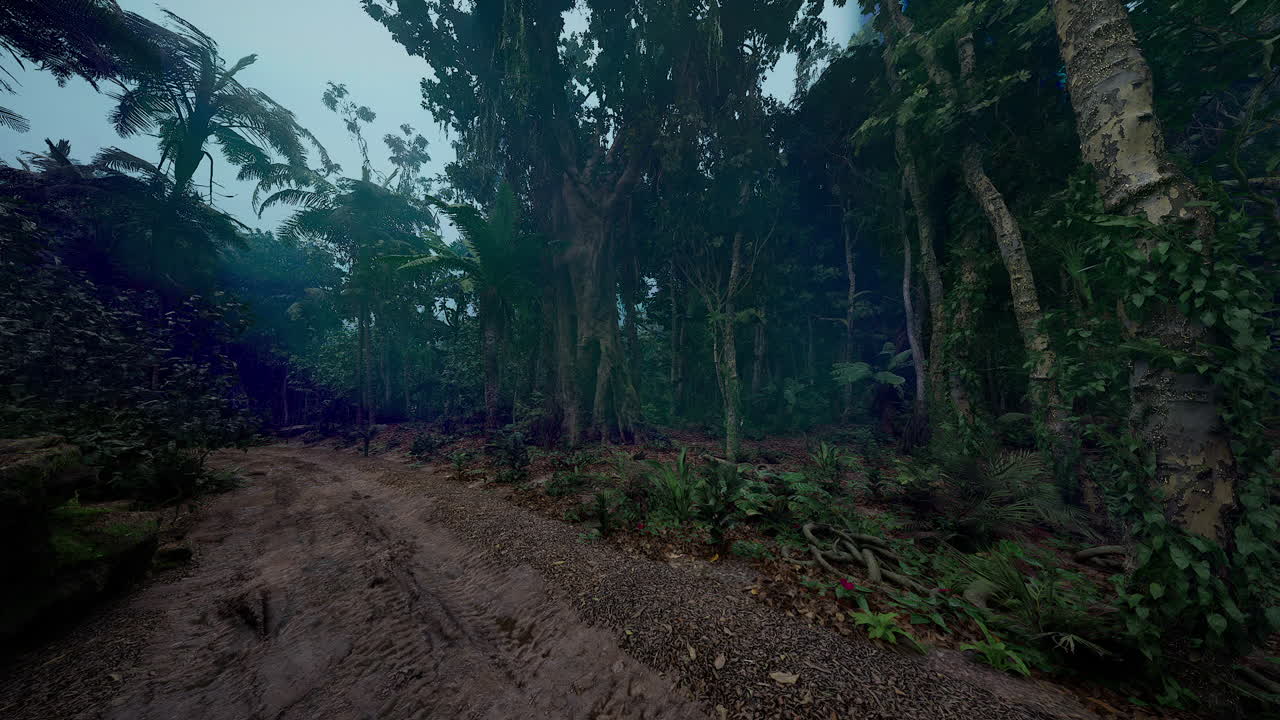 Lush tropical forest path surrounded by dense greenery during twilight
