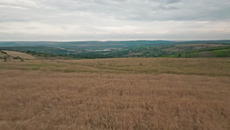 El-Lago-Está-Ubicado-En-La-Distancia-Un-Vuelo-Rápido-Hacia-Atrás-Que-Cambia-La-Perspectiva-De-La-Visión-Con-La-Aparición-De-Un-Campo-De-Trigo-Amarillo-En-Primer-Plano-Que-Cambia-Con-Desenfoque-De-Movimiento