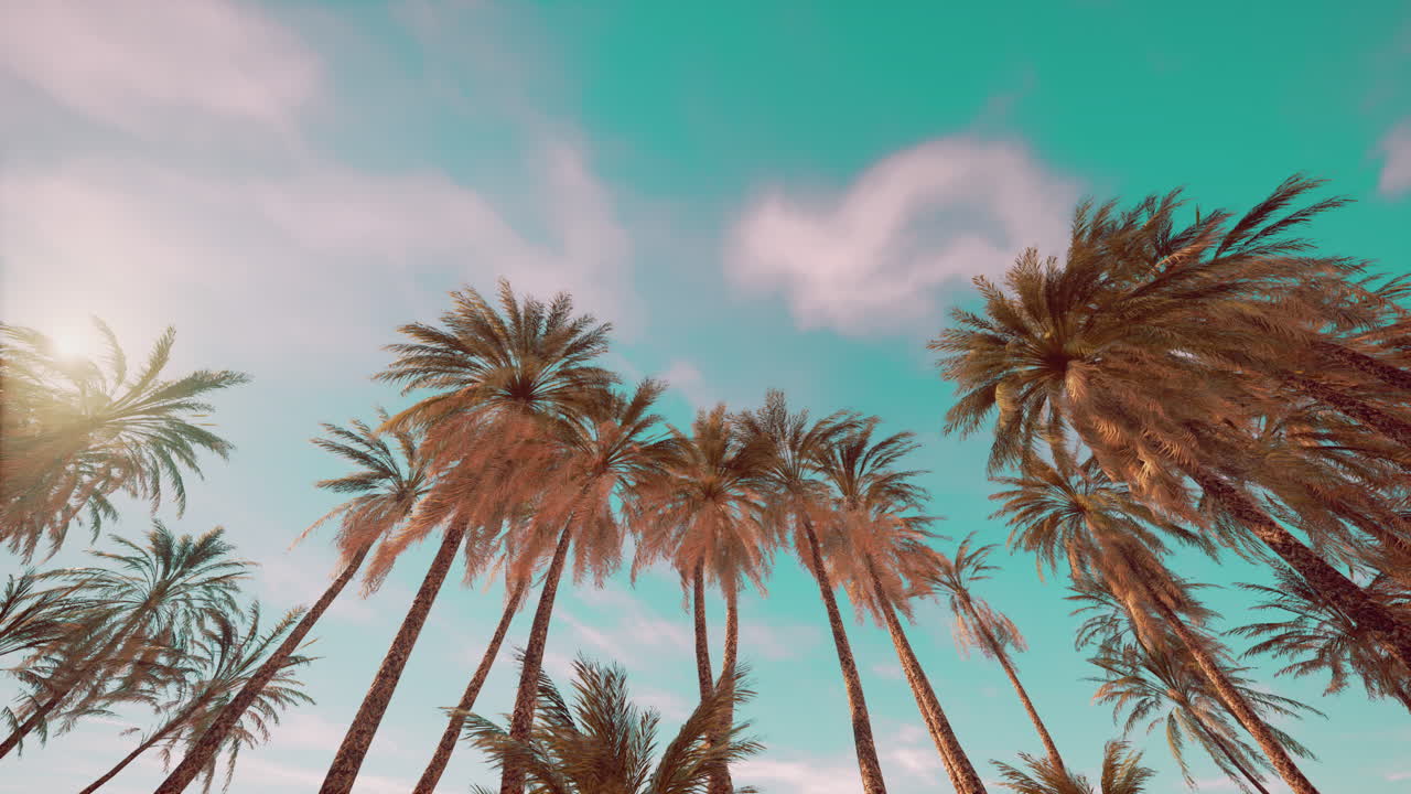 Palm Trees Under a Dramatic Sky