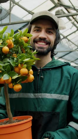 gardener holding a small orange tree