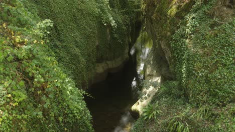 Alpine-river-water-flow-between-green-leaves-growth-in-mountain-cliff-landscape