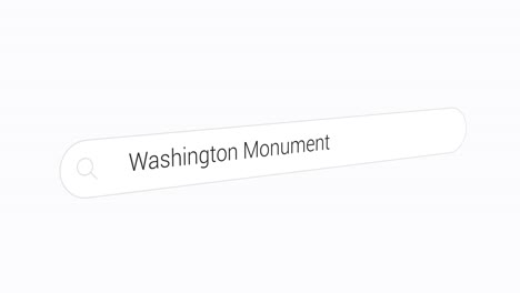 escribiendo el monumento a washington en el motor de búsqueda