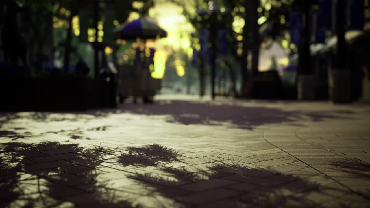 A pathway lined with trees and shadows